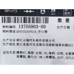 Goupille fendue - BYD - 13755903-00