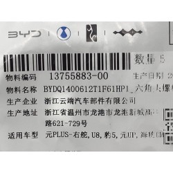 Boulon six pans - BYD - 13755883-00