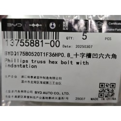Boulon six pans - BYD - 13755881-00