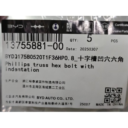 Boulon six pans - BYD - 13755881-00
