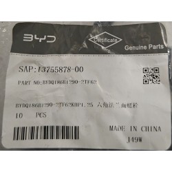 Boulon à bride hexagonale - BYD - 13755878-00