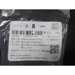 Boulon six pans - BYD - 13755876-00