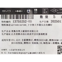 Vis autotaraudeuse - BYD - 13755252-00