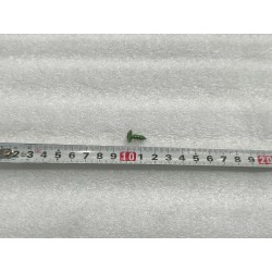 Vis autotaraudeuse - BYD - 13755251-00