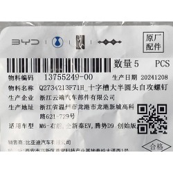 Vis autotaraudeuse - BYD - 13755249-00
