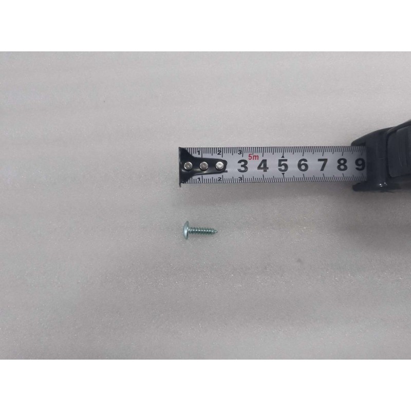 Vis autotaraudeuse - BYD - 13755246-00