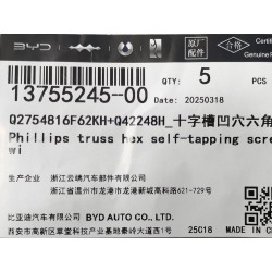 Vis autotaraudeuse - BYD - 13755245-00