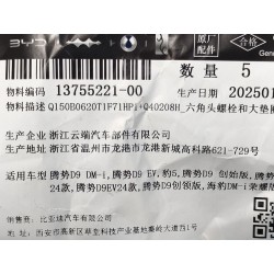 Boulon six pans - BYD - 13755221-00