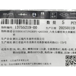 Boulon six pans - BYD - 13755219-00