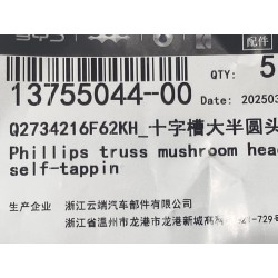 Vis autotaraudeuse - BYD - 13755044-00