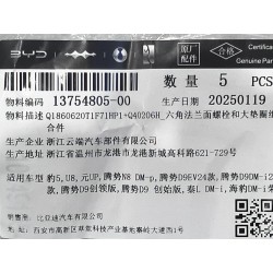 Boulon à bride hexagonale - BYD - 13754805-00