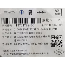Boulon six pans - BYD - 13754778-00
