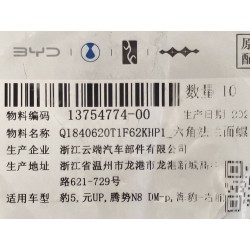 Boulon à bride hexagonale - BYD - 13754774-00