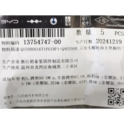 Boulon six pans - BYD - 13754747-00