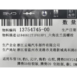 Boulon à bride hexagonale - BYD - 13754745-00