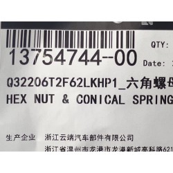 Écrou hexagonal - BYD - 13754744-00