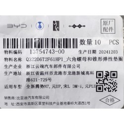 Écrou hexagonal - BYD - 13754743-00