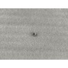Écrou hexagonal - BYD - 13754743-00