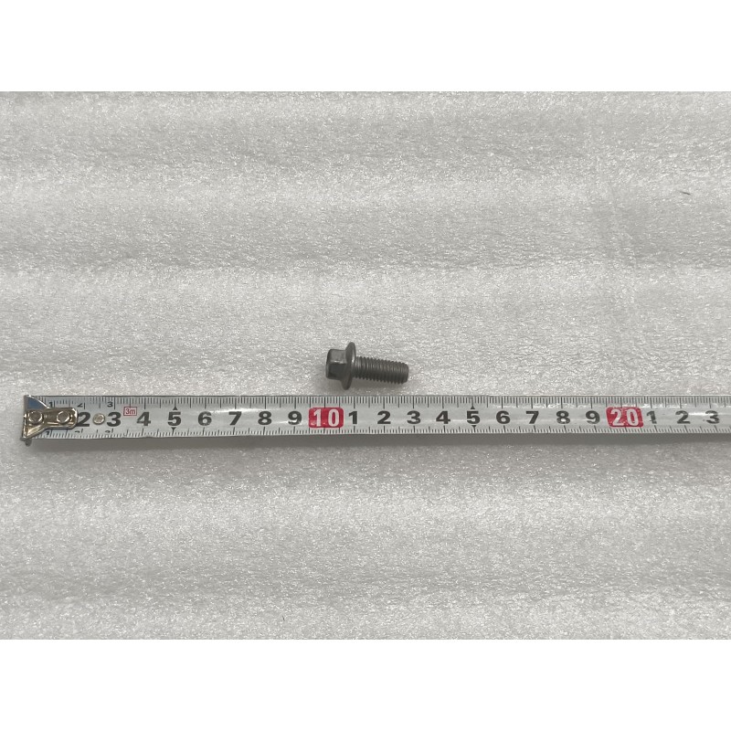 Boulon à bride hexagonale - BYD - 13754724-00