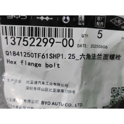 Boulon à bride hexagonale - BYD - 13752299-00