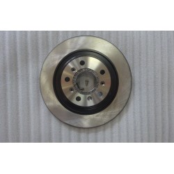 Disque de frein, arrière - BYD - 13750080-00