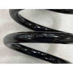 Ressort hélicoïdal arrière - BYD - 13749079-00