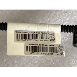 Dossier du siège arrière droit - Bleu - BYD - 13748803-00