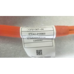 Faisceau de câbles de connexion de la charge CA - BYD - 13721307-00