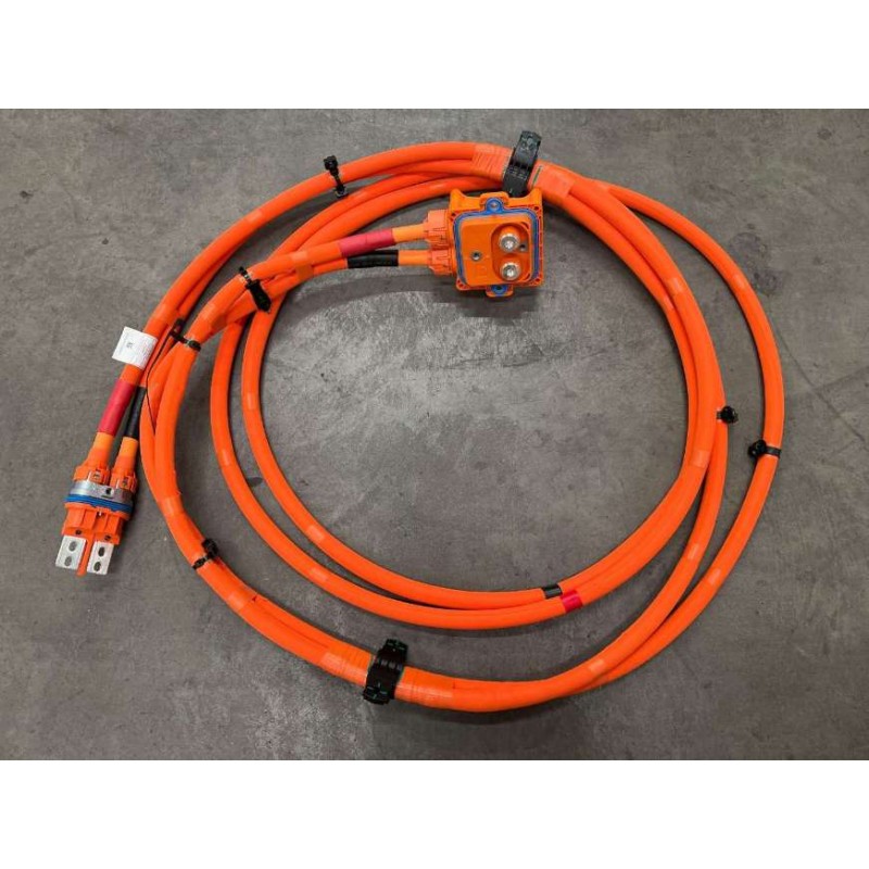 Faisceau de câbles de connexion de la charge CC - BYD - 13721306-00