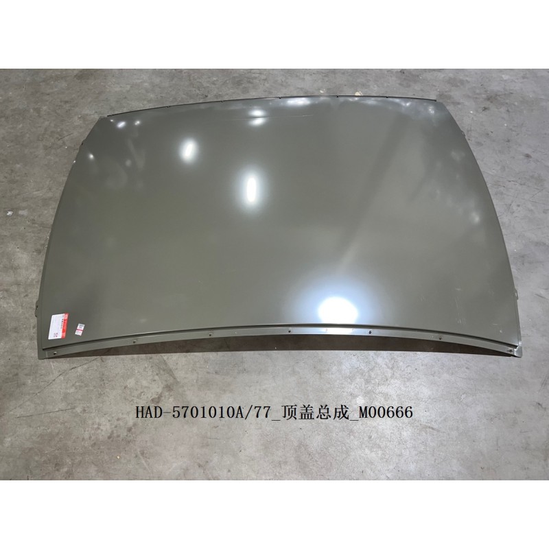 Toit. - BYD - 13702058-00