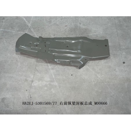 Plaque de couverture, longeron, avant droit - BYD - 13701855-00
