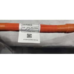 Faisceau d'adaptation pour moteur - BYD - 13698929-00