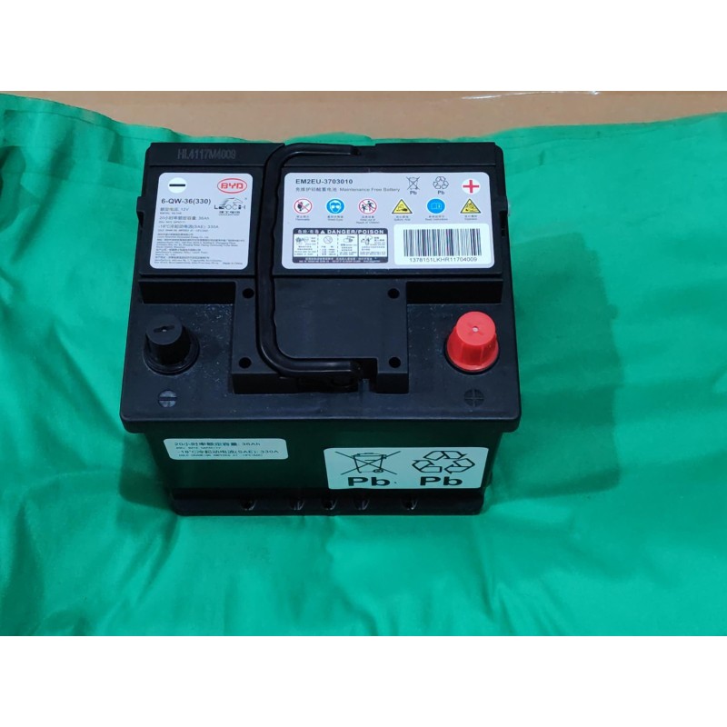 Batterie 12 V - BYD - 13691814-00