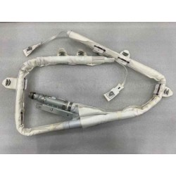 Module de l'airbag rideau latéral droit - BYD - 13653156-00