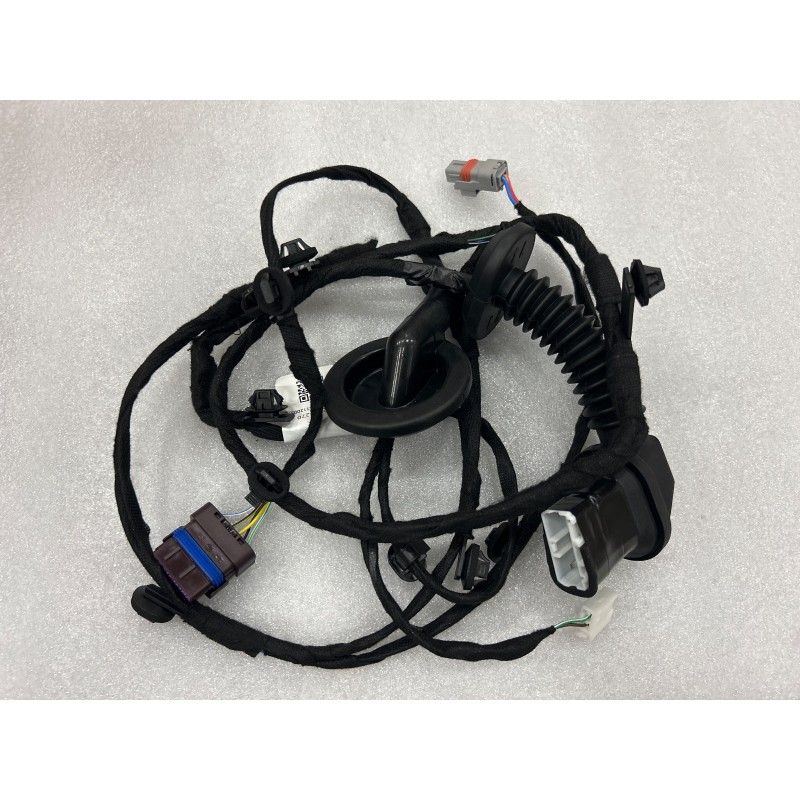 Faisceau de câblage de porte arrière droite - BYD - 19935912-00