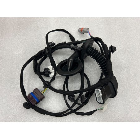 Faisceau de câblage de porte arrière droite - BYD - 19935912-00