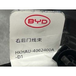 Faisceau de câblage de porte arrière droite - BYD - 19935912-00