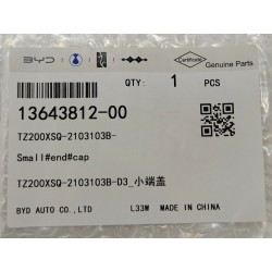 TZ200XSQ-2103103B-D3 Petit bouchon d'extrémité - BYD - 13643812-00