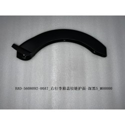 Protection de charnière de couverture de bagages droite-noir foncé 5 - BYD - 13643537-00