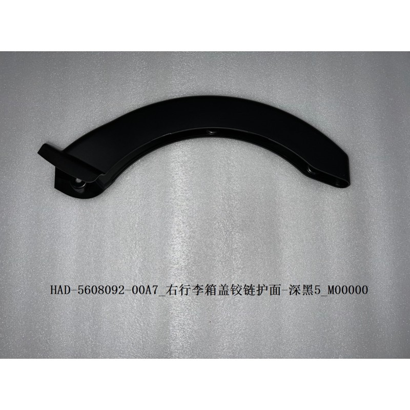 Protection de charnière de couverture de bagages droite-noir foncé 5 - BYD - 13643537-00