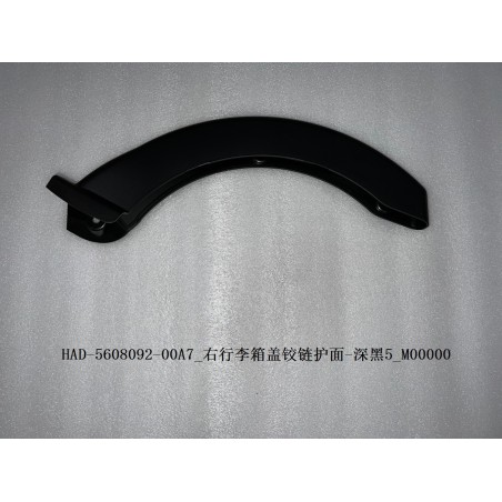 Protection de charnière de couverture de bagages droite-noir foncé 5 - BYD - 13643537-00