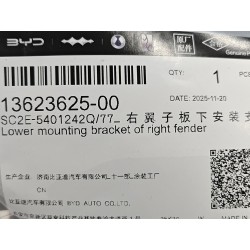 Support de montage inférieur de l'aile droite - BYD - 13623625-00