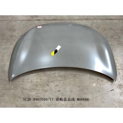 Capot - BYD - 13623367-00