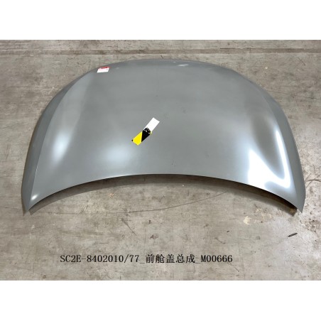 Capot - BYD - 13623367-00