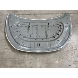 Capot - BYD - 13623367-00