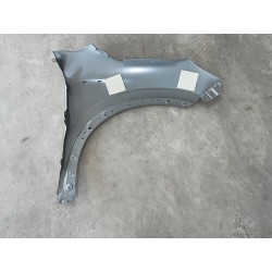 Aile gauche - BYD - 13623359-00