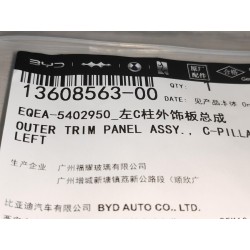 Garniture extérieure assy., montant c, gauche - BYD - 13608563-00