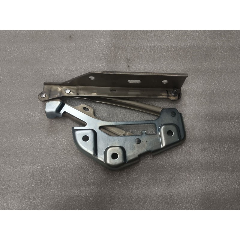 Charnière gauche de capot - BYD - 13600385-00