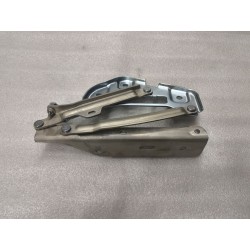 Charnière gauche de capot - BYD - 13600385-00