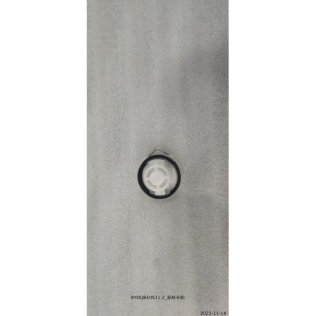 Clip irrégulier - BYD - 13599091-00
